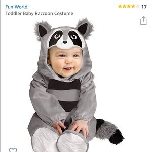 Baby Raccoon Costume